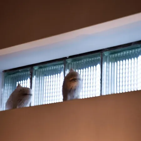 Apartment Superbe Duplex Penthouse *