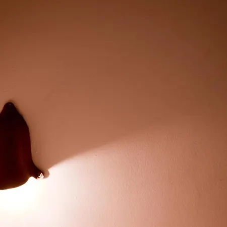 Apartment Superbe Duplex Penthouse *