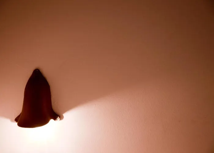 Appartement Superbe Duplex Penthouse *